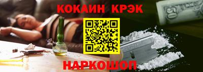индика Можга