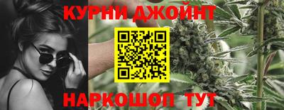 индика Можга