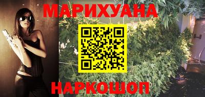индика Можга