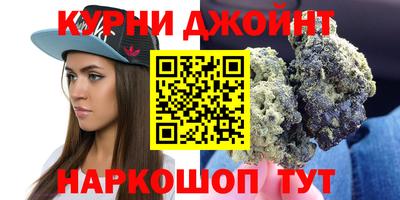 индика Можга