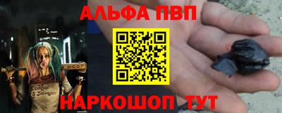 индика Можга