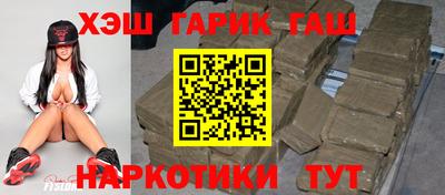 индика Можга