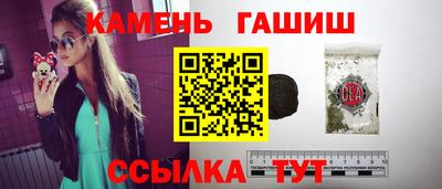 индика Можга