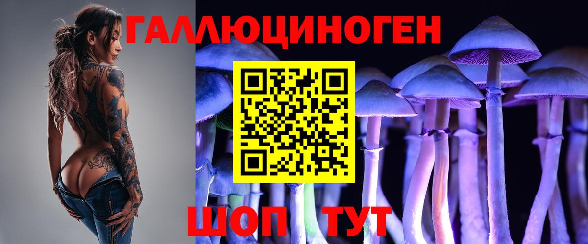 Галлюциногенные грибы MAGIC MUSHROOMS  где купить наркоту  Галлюциногенные грибы GOLDEN TEACHER  Великие Луки  Вход с VPN 